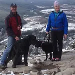 Banff\'S Original Cowboy Bed And Breakfast