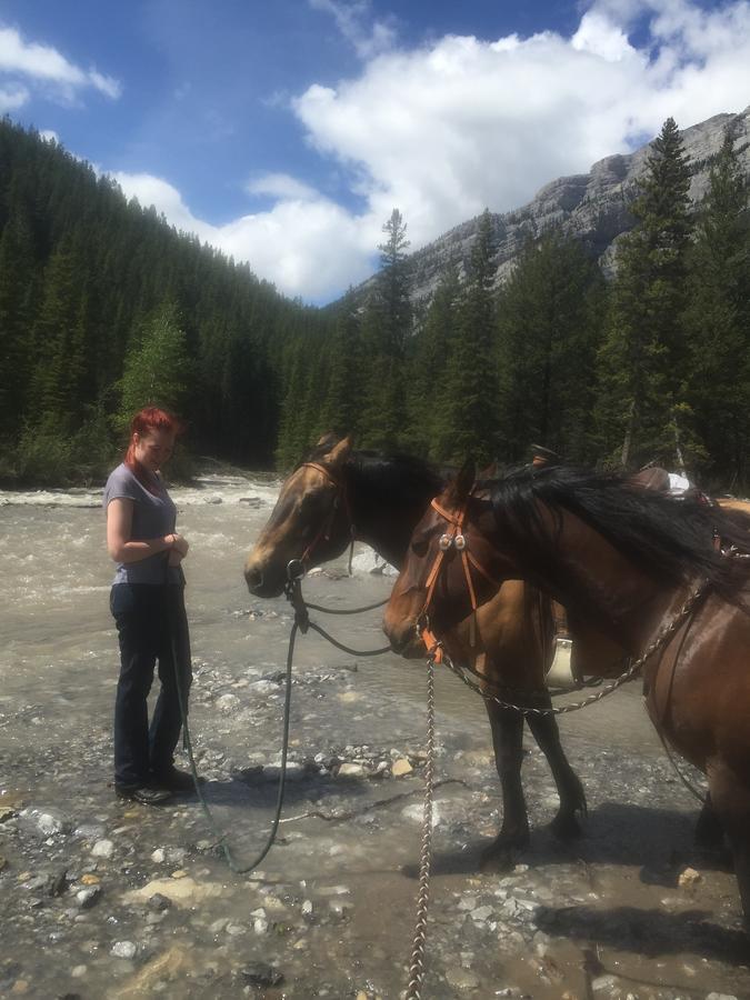 Banff's Original Cowboy Bed & Breakfast